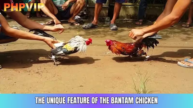 Small Size, Fast Movement, and Good Reflexes