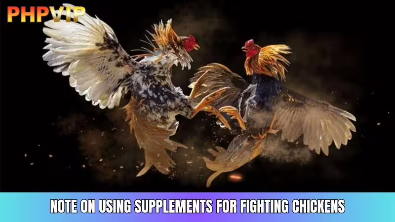 Ensure Supplements Are Combined with Proper Diet and Training