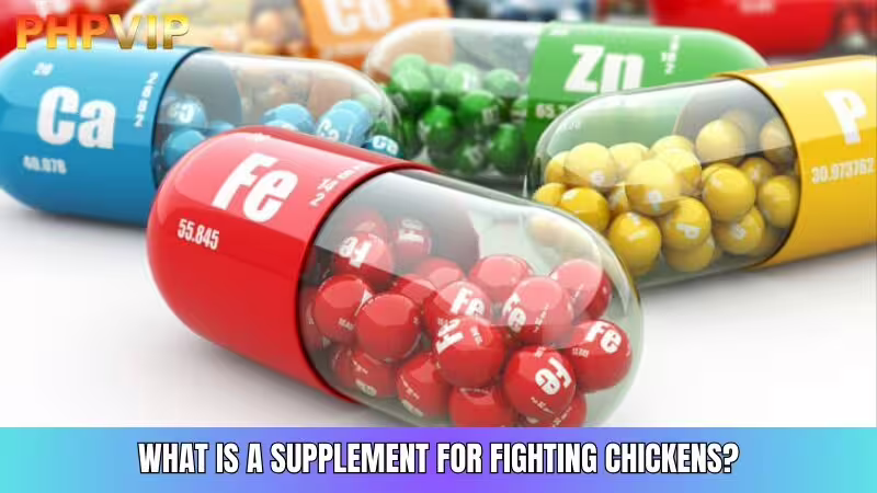 Supplements for Fighting Cocks Contain Essential Nutrients for Health