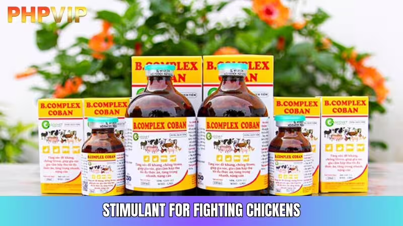 Recommended Energy-Boosting Products for Fighting Cocks